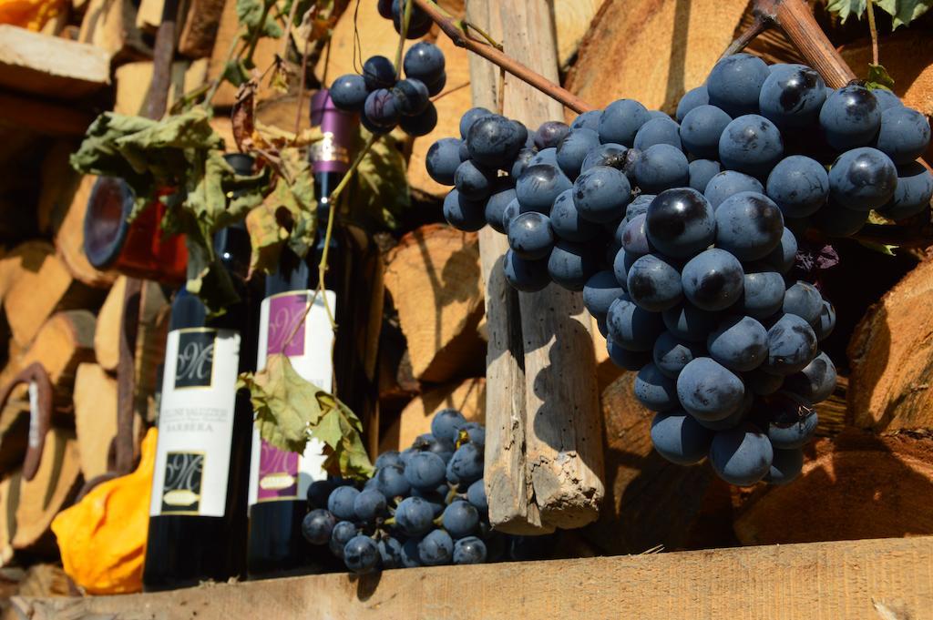 Agriturismo Il Nido di Bacco Villa Saluzzo Esterno foto